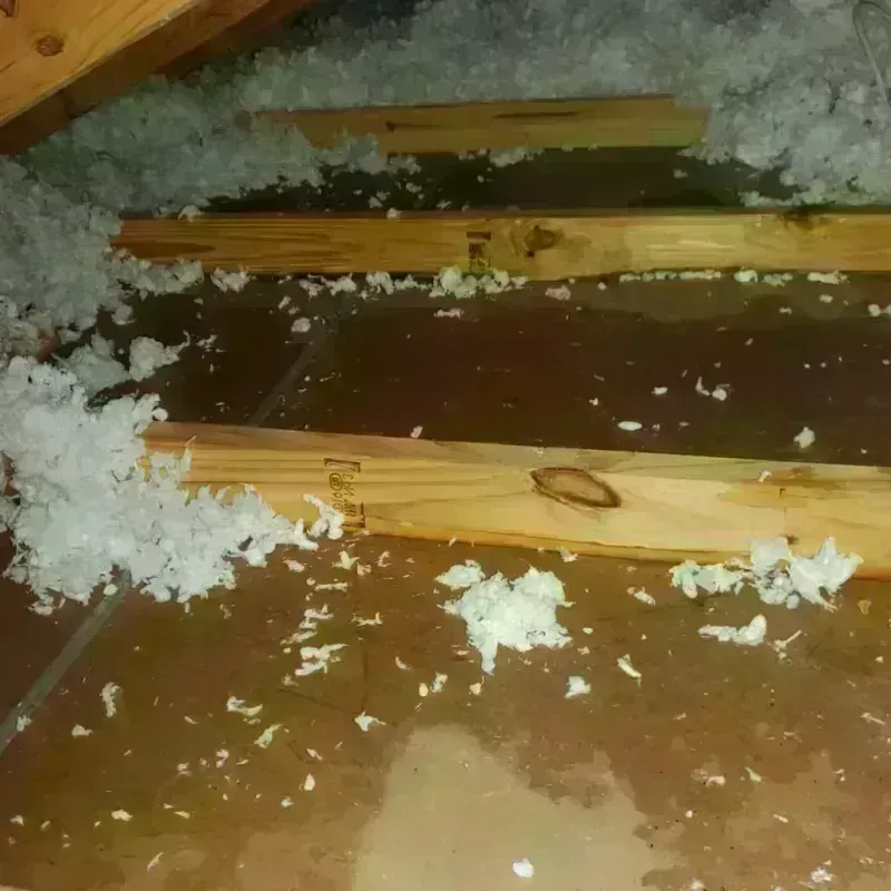 Attic Water Damage in Mount Vernon, MO