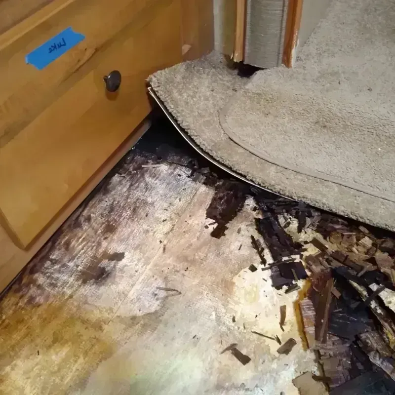 Best Wood Floor Water Damage Service in Mount Vernon, MO